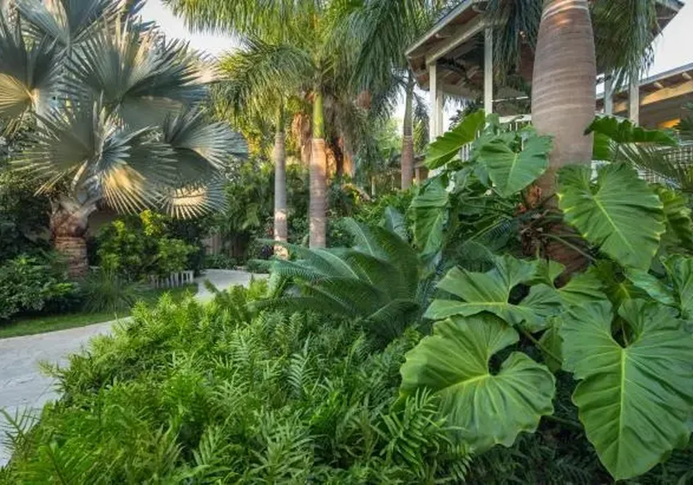 Open lawn and shade trees in an Al Ghadeer neighbourhood garden